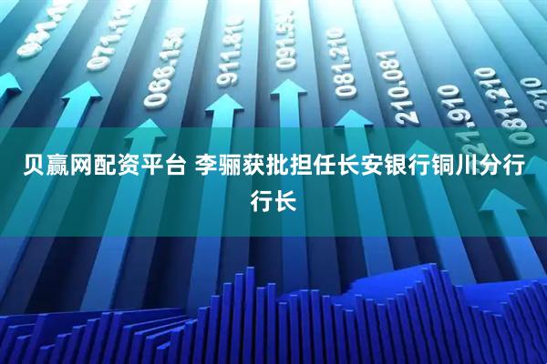 贝赢网配资平台 李骊获批担任长安银行铜川分行行长