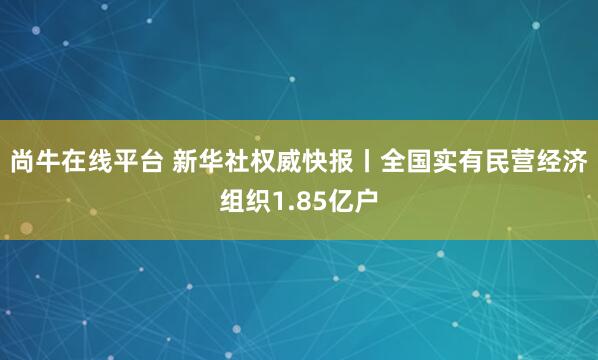尚牛在线平台 新华社权威快报丨全国实有民营经济组织1.85亿户